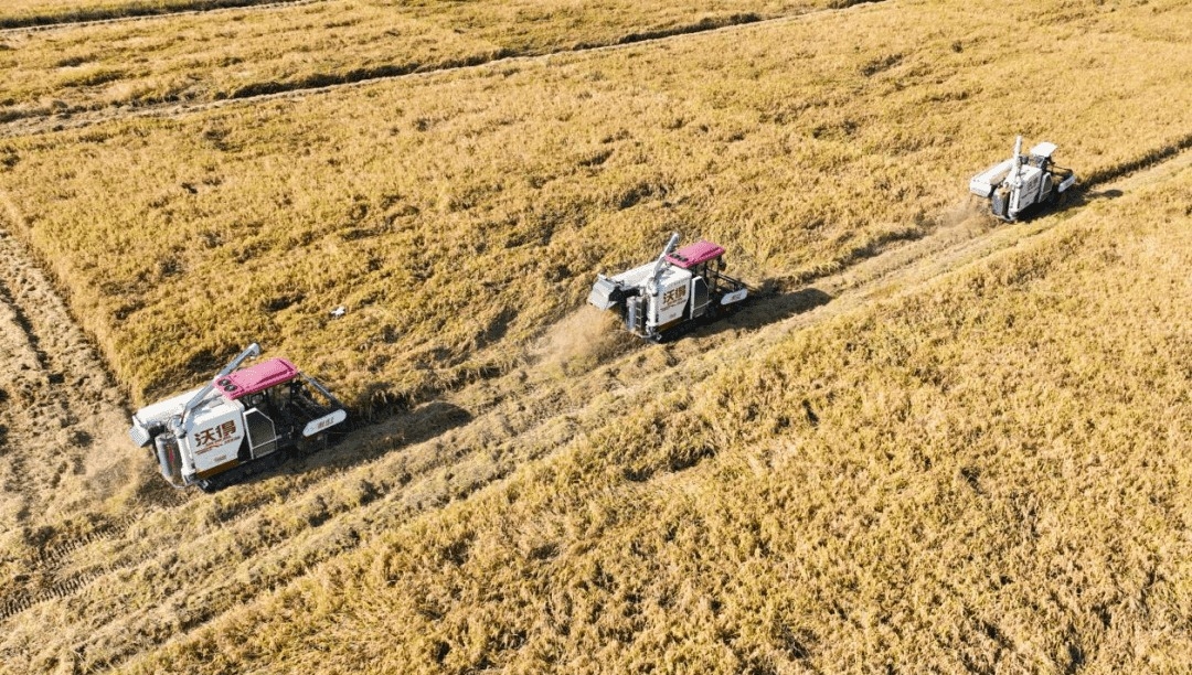 4ed144d5719af6107f0a9710de034d45.jpg 4ed144d5719af6107f0a9710de034d45.jpg