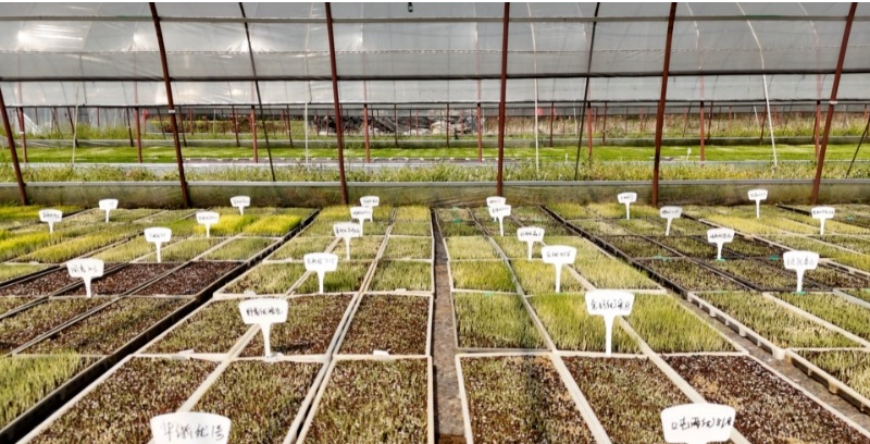 4ed144d5719af6107f0a9710de034d45.jpg 4ed144d5719af6107f0a9710de034d45.jpg