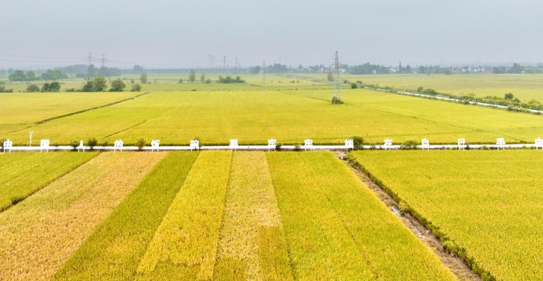 4ed144d5719af6107f0a9710de034d45.jpg 4ed144d5719af6107f0a9710de034d45.jpg