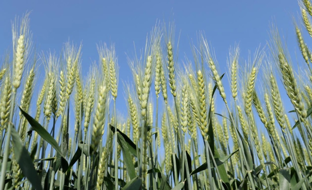 4ed144d5719af6107f0a9710de034d45.jpg 4ed144d5719af6107f0a9710de034d45.jpg