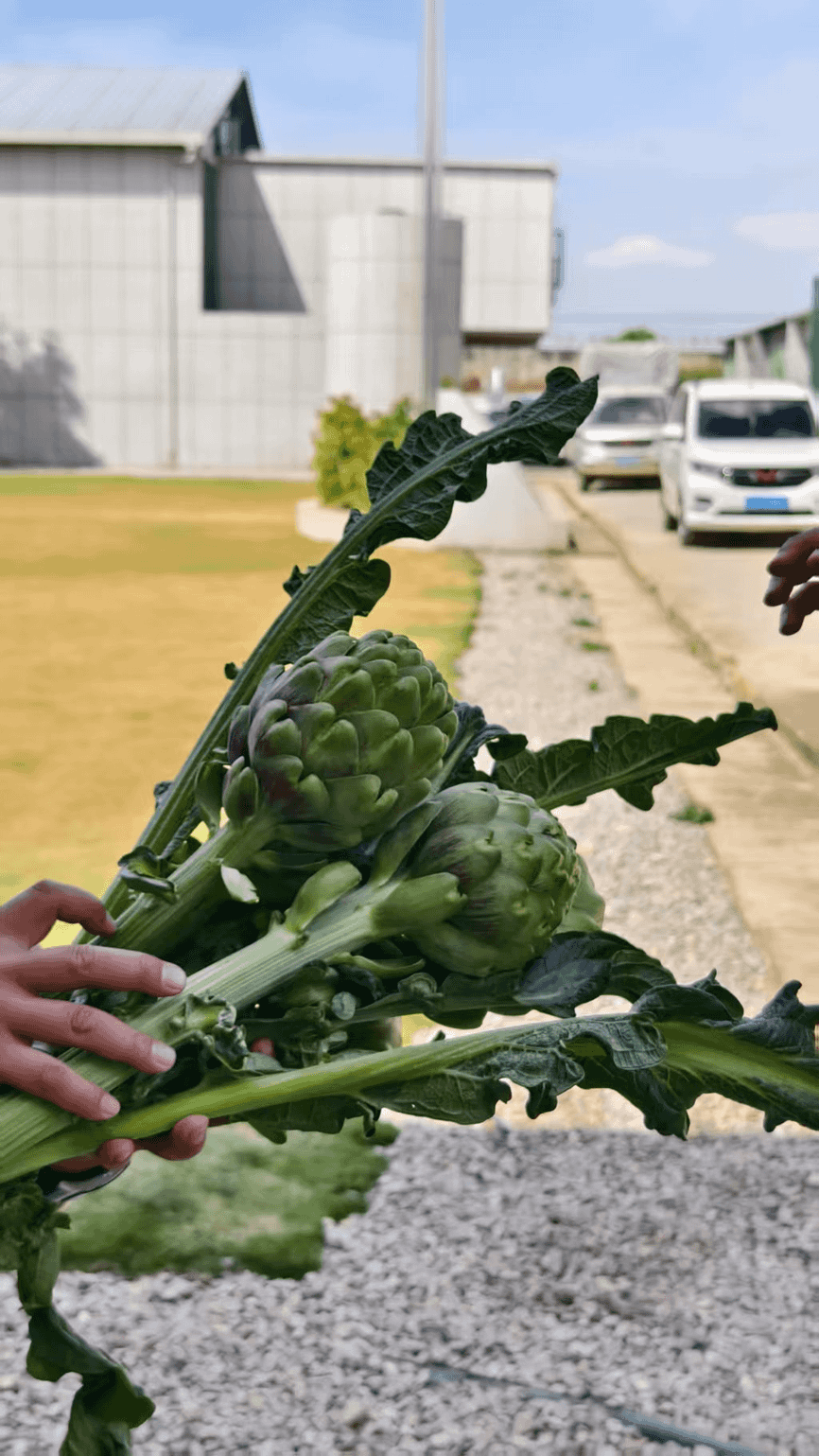 be97c180d84d454f8d9b9e1f64589116.png e8a3f8212cc747aba80d5cb0fbbfe8b1.png