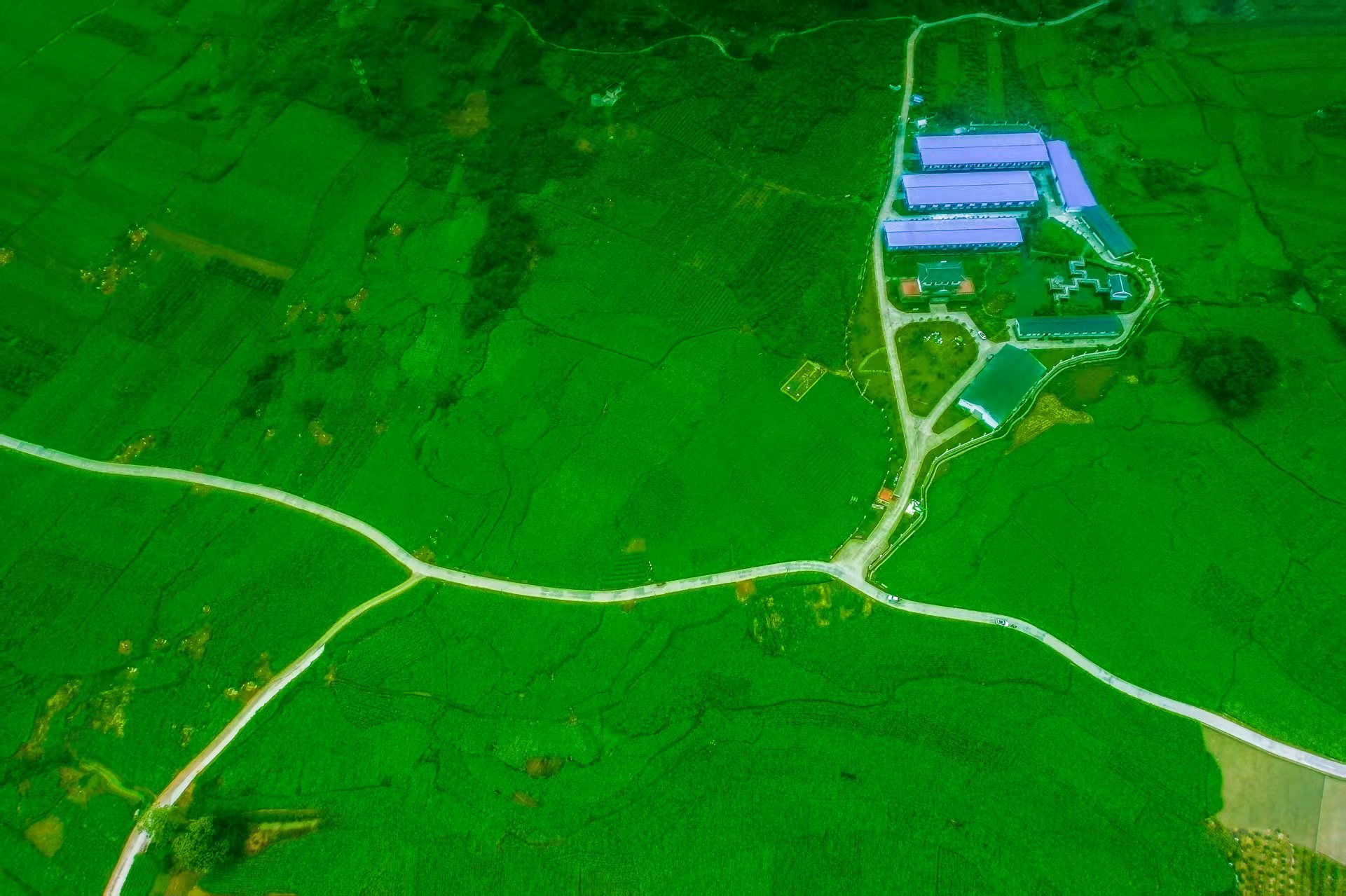 edc2ba2c174ab28a1bc2325bb9aee9f.jpg edc2ba2c174ab28a1bc2325bb9aee9f.jpg