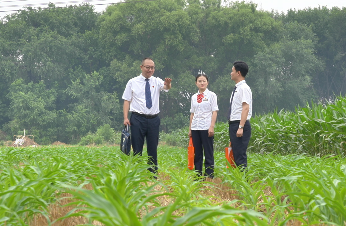 图片3.png 图片3.png