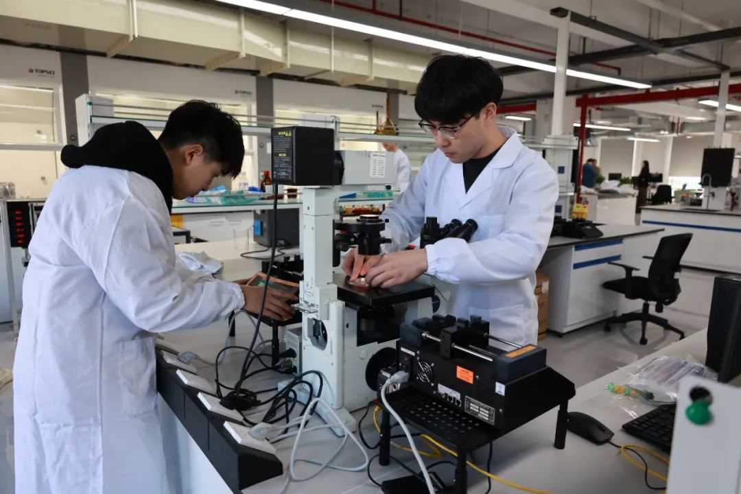 图片1.png 996386fb399c496083308b1f1b05b088.png