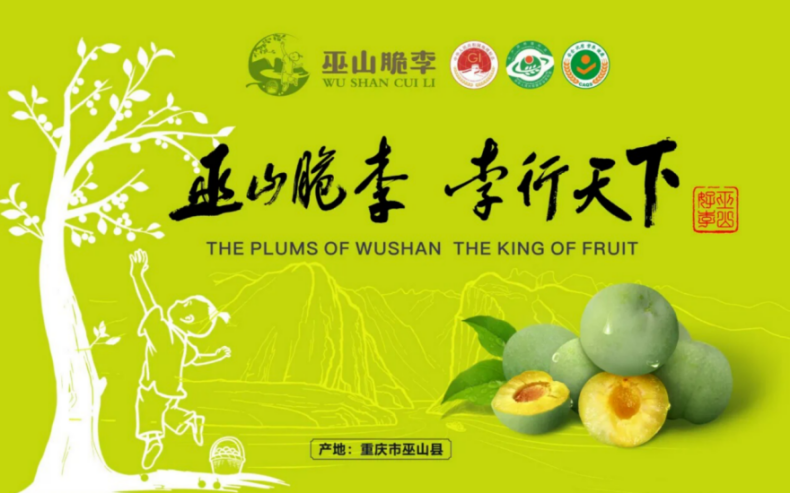 巫山脆李品牌价值破百亿481.png