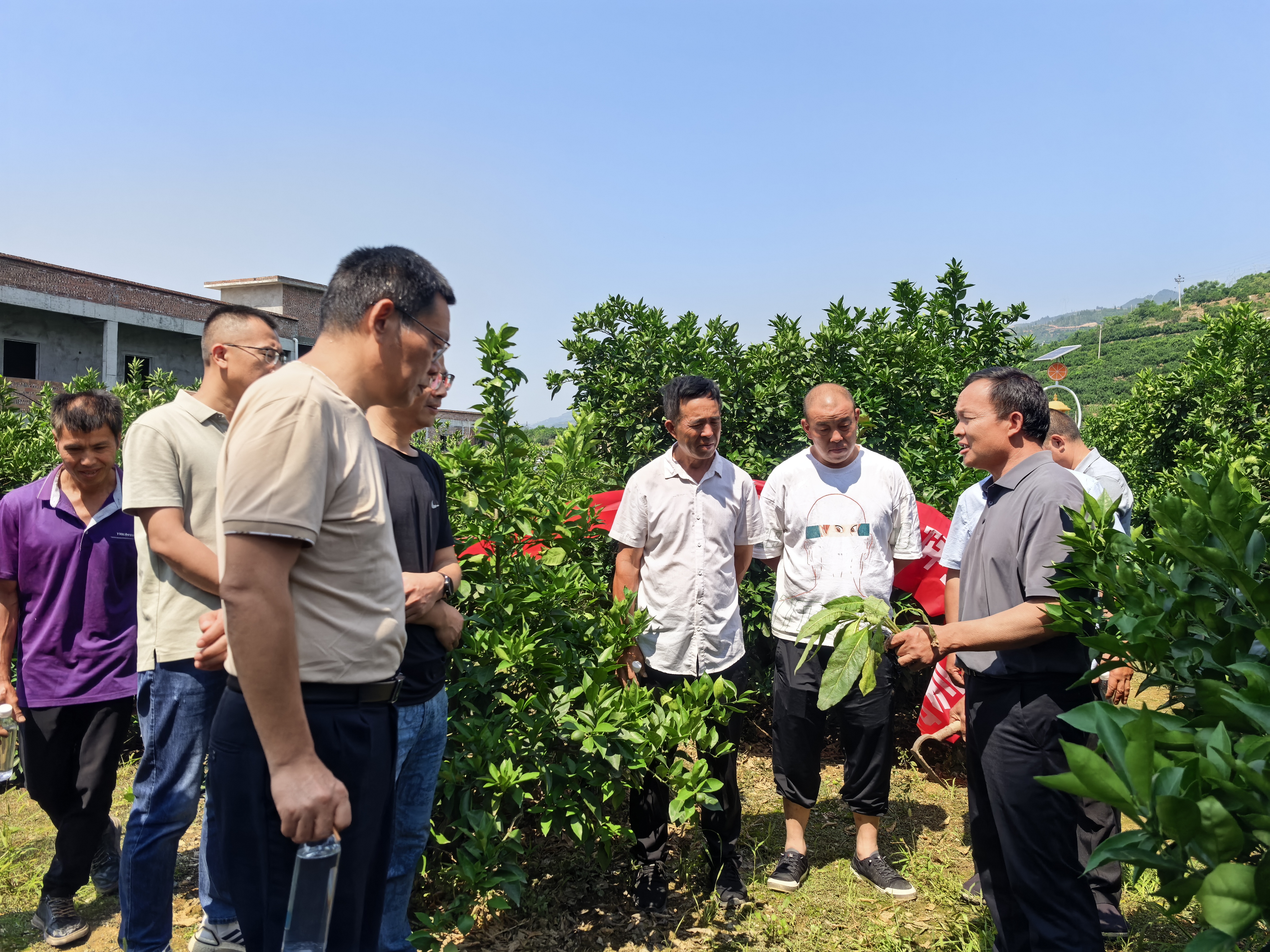 微信图片_20250616151324.jpg ce993733861f4921b7eb554631a05105.jpeg