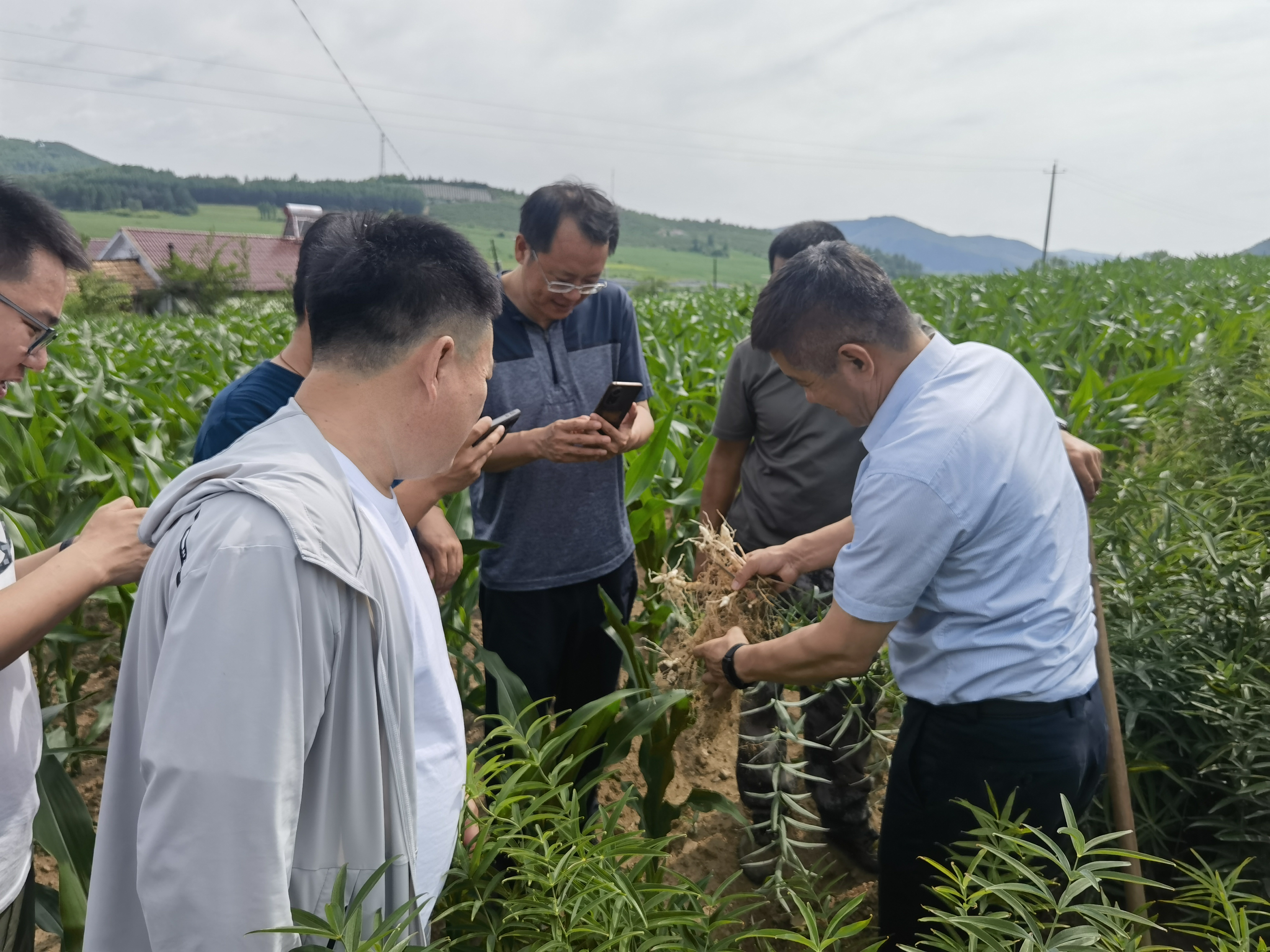 图片 2(1).png 73174785f69d4493ba21e333873d949f.png