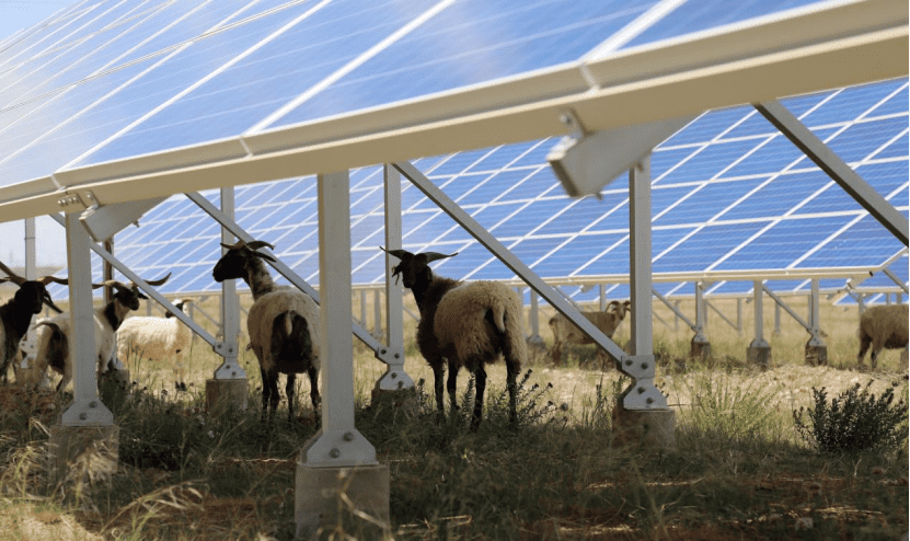 b23207cb8e324fd490fdebb1a4559c6e.png b23207cb8e324fd490fdebb1a4559c6e.png