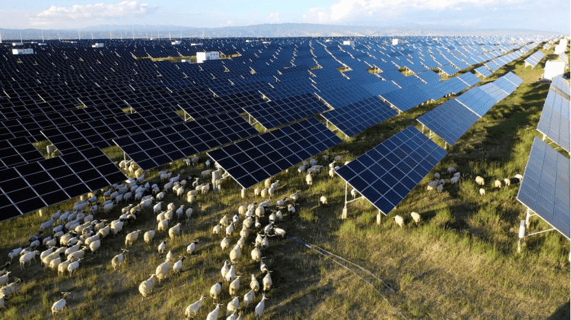 b260cb9c4d1049e5a89949db7a0354c0.png b260cb9c4d1049e5a89949db7a0354c0.png