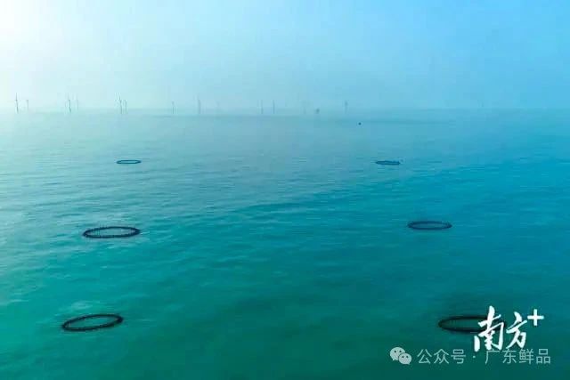 微信图片_20250710093807_916.jpg 微信图片_20250710093807_916.jpg
