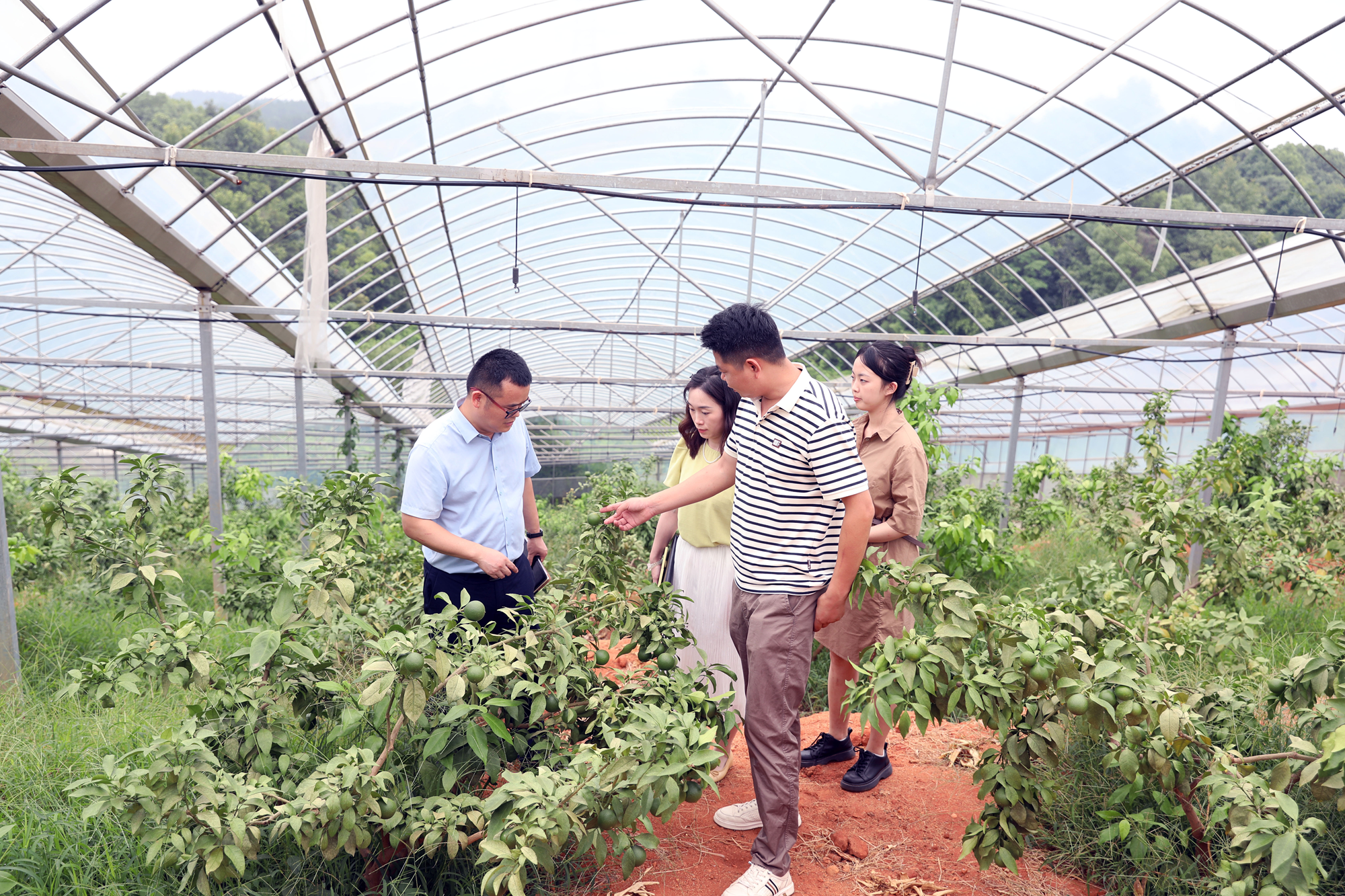 图片1.png efc72ebade9e498fb8356f137d73c272.png