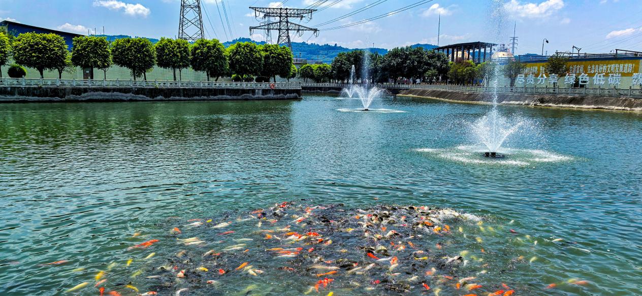 7b91b57cec4d41aa94c6914fa9eadfbb.jpeg 7b91b57cec4d41aa94c6914fa9eadfbb.jpeg