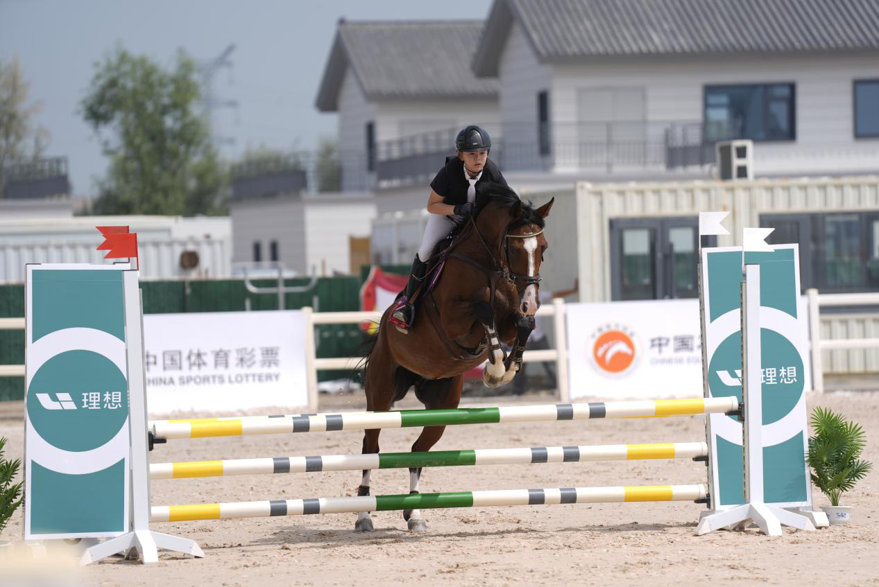 图片1.png 图片1.png