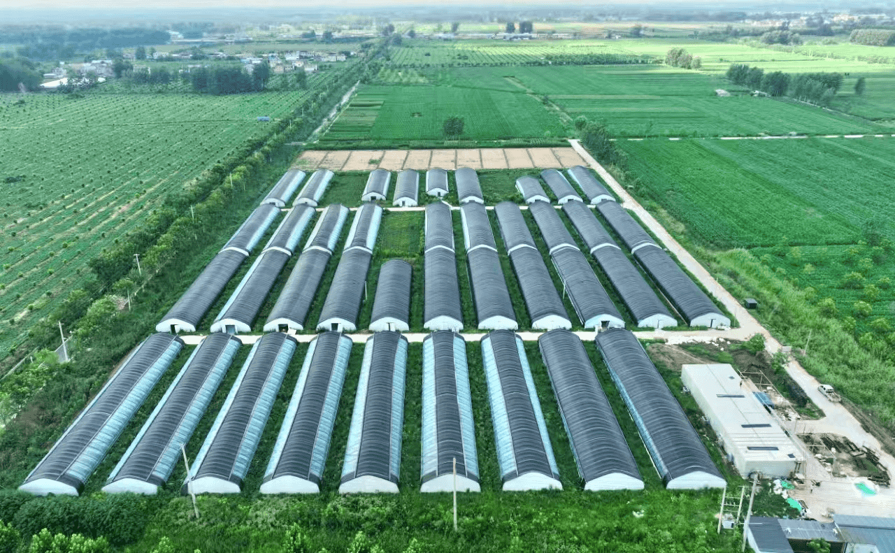 图片5.png 图片5.png