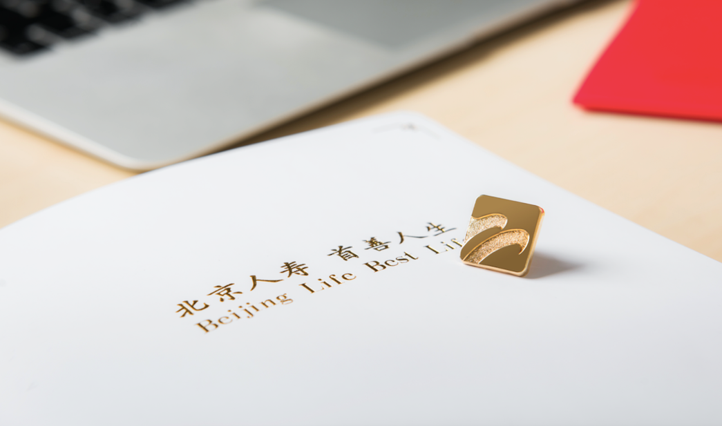 北京人寿.png 0859f42722e84d2e93db4e7f23c971d0.png