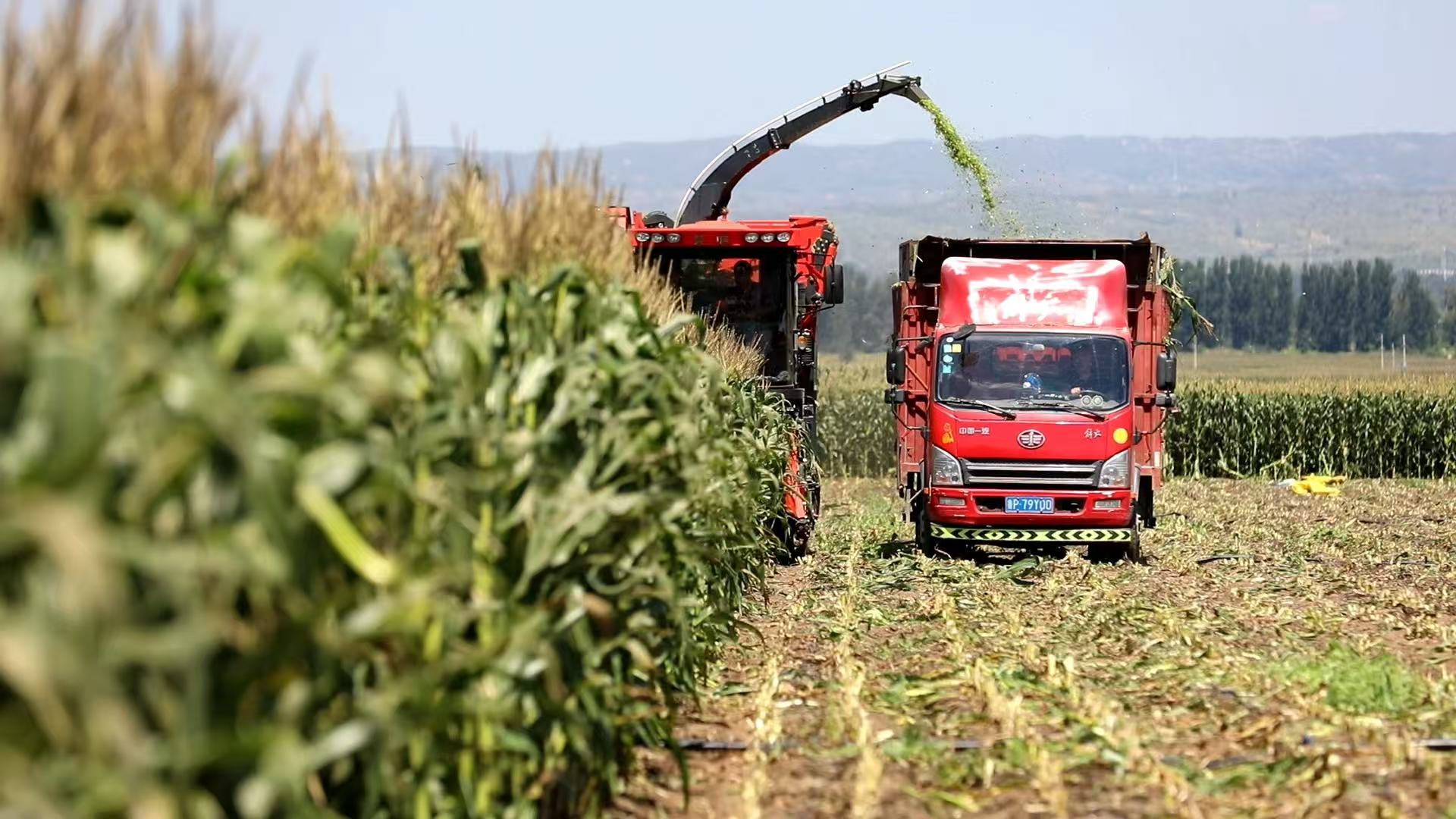 万全2.jpg 591366eef494451f8e3589edfd991beb.jpeg