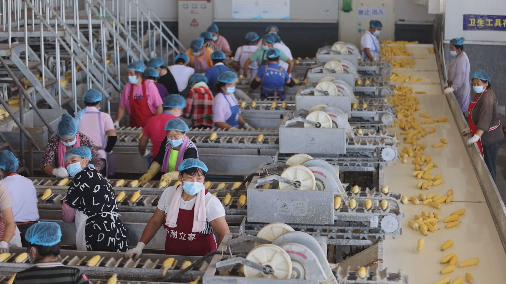 万全4.jpg 813f665bd6d7443dac8498e799da0454.jpeg