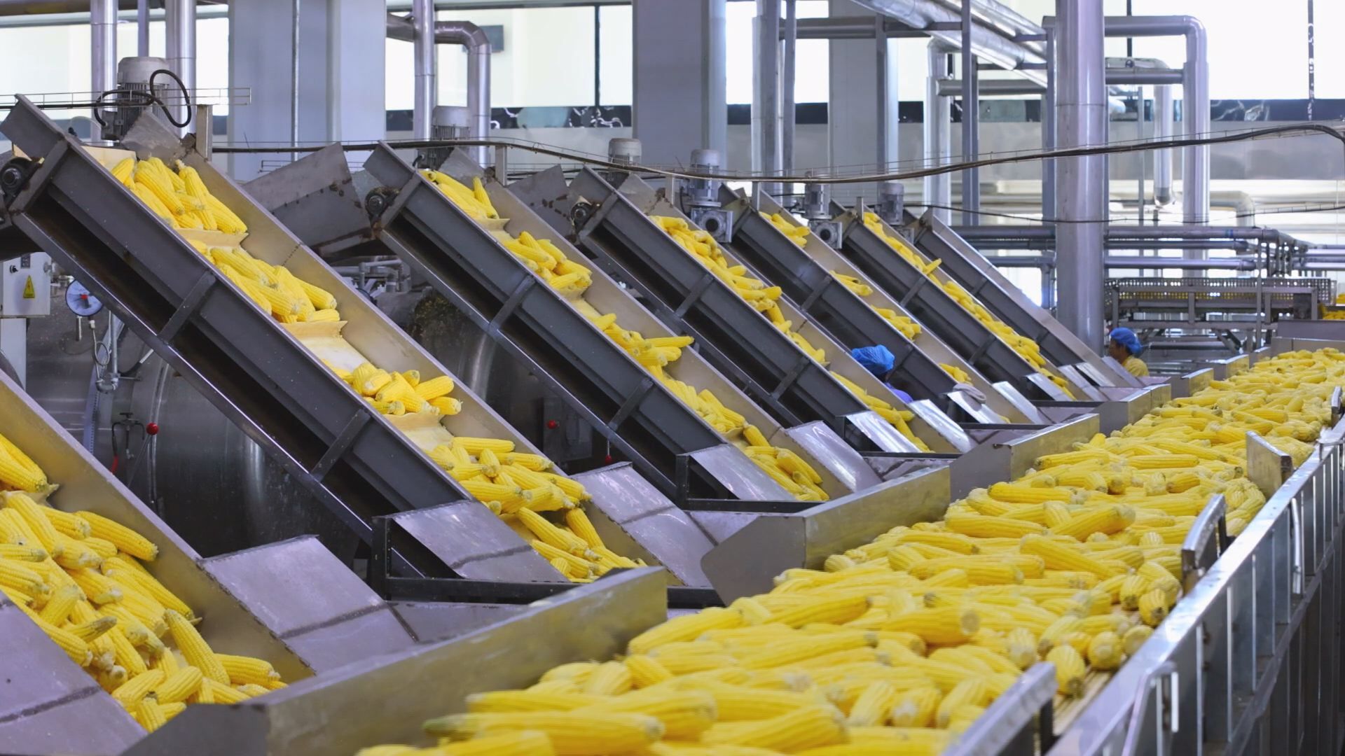 万全3.jpg a463654e6c464f61a43256c4d202a7b9.jpeg