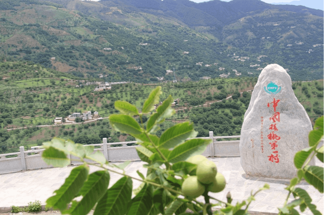 cb43478568544412b62015ab3a110df7.png cb43478568544412b62015ab3a110df7.png