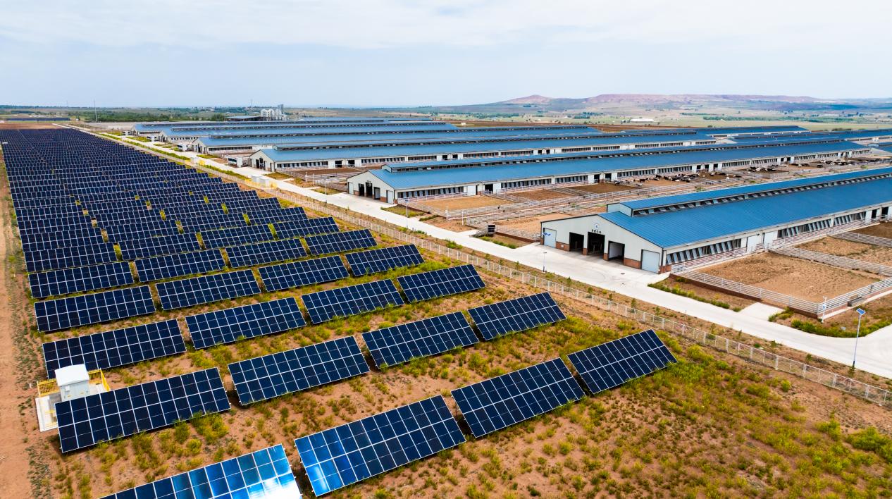 4f91b2dcfa634676893d0c17d2f54577.jpeg 4f91b2dcfa634676893d0c17d2f54577.jpeg