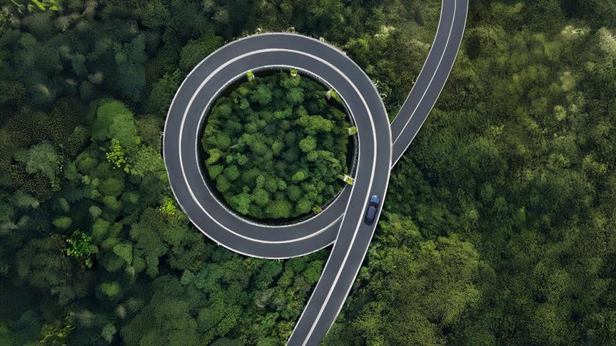 20250826 2.jpg b84216eccdeb45adbfe89336099c1e5a.jpeg