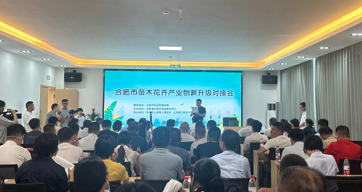 9b0425731836434790aa5ed07281003e.jpeg 9b0425731836434790aa5ed07281003e.jpeg