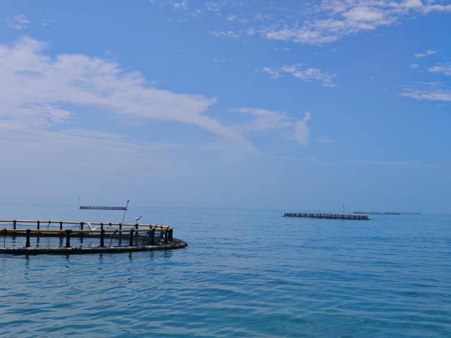 bbedbdee66594763984f0802ab1c767e.jpeg bbedbdee66594763984f0802ab1c767e.jpeg