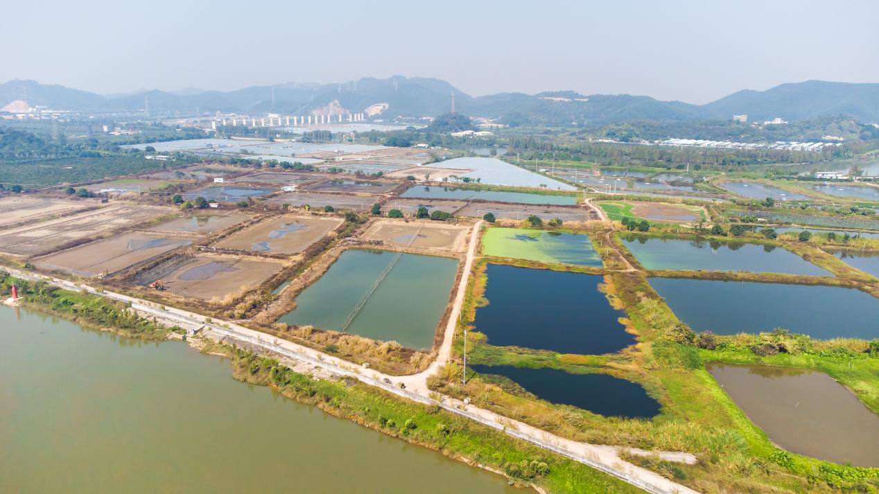 bc53df49bfe4409a91a2153607bd7598.jpeg bc53df49bfe4409a91a2153607bd7598.jpeg