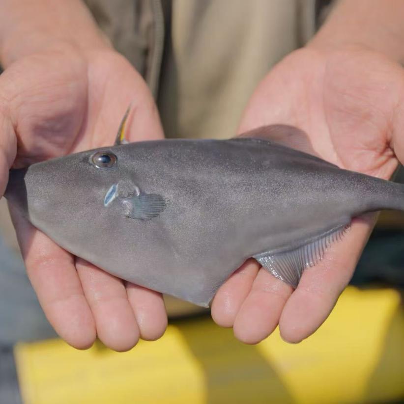 ec303b7fe0894cce9dbfb17dd189e4cc.jpeg ec303b7fe0894cce9dbfb17dd189e4cc.jpeg