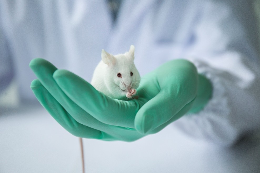 图片3.jpg 图片3.jpg