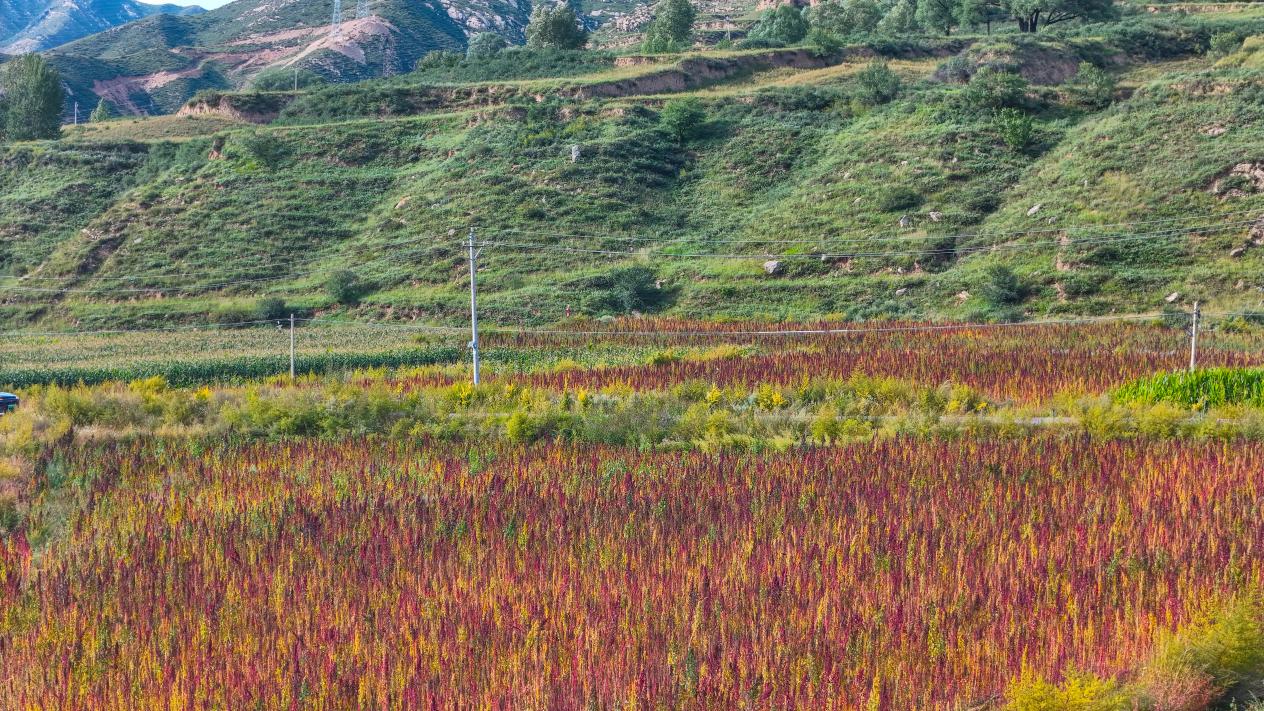 图片4.jpg 图片4.jpg