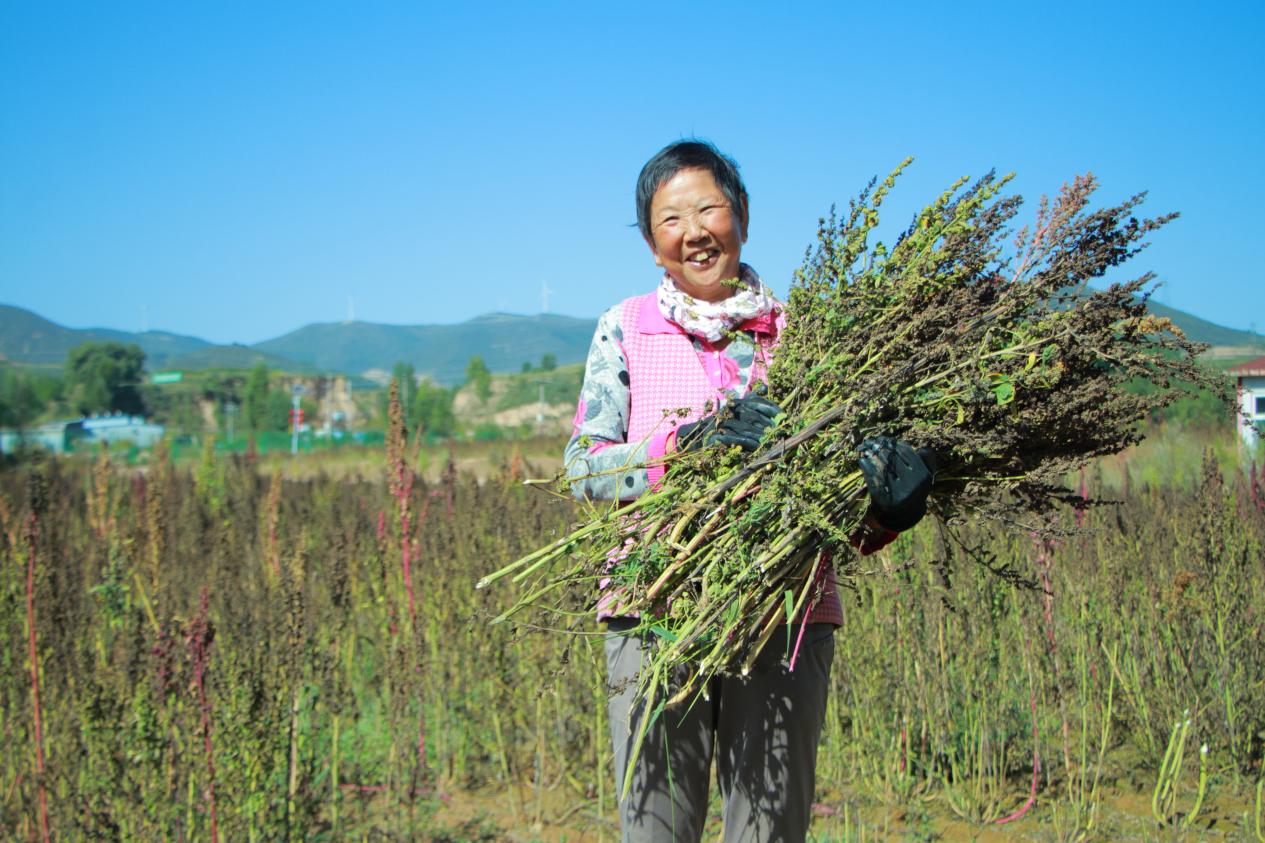 图片2.jpg 图片2.jpg