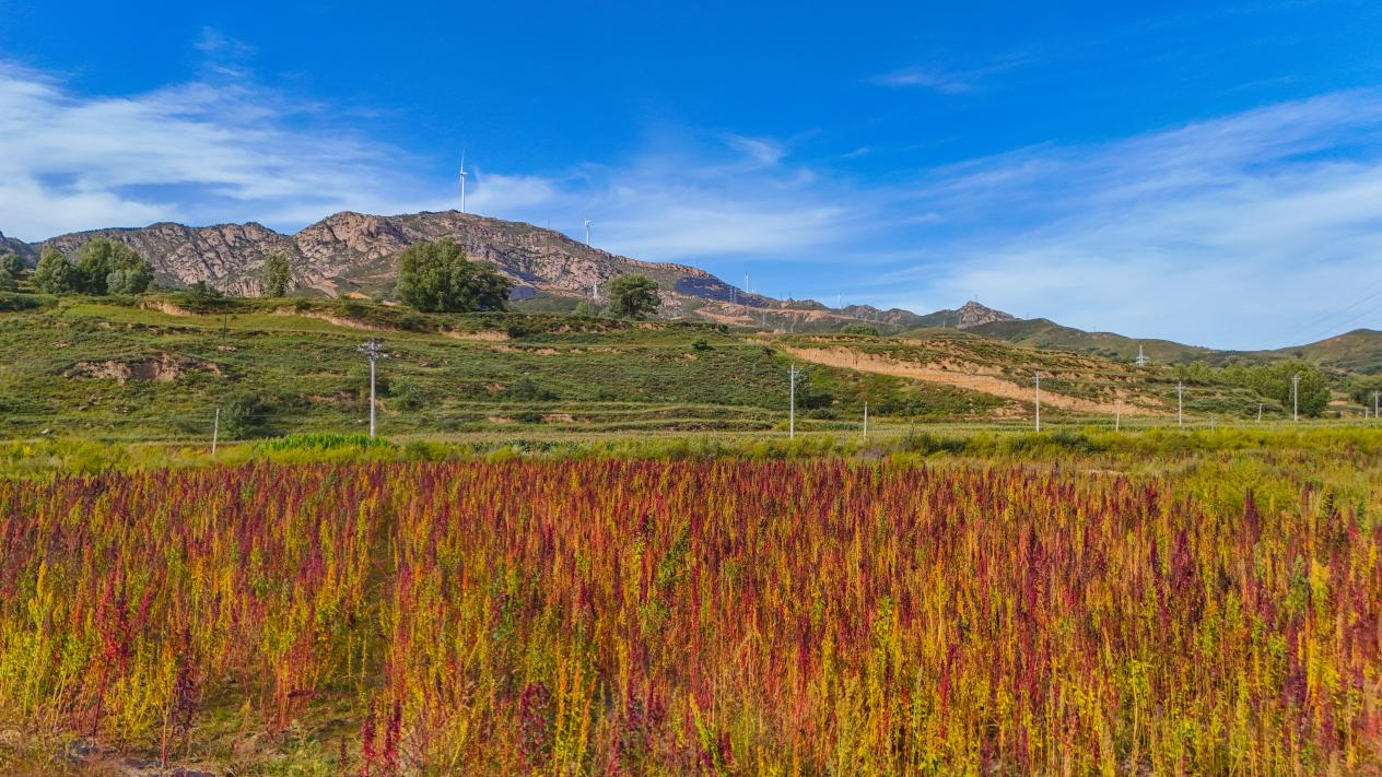 图片1.jpg 图片1.jpg