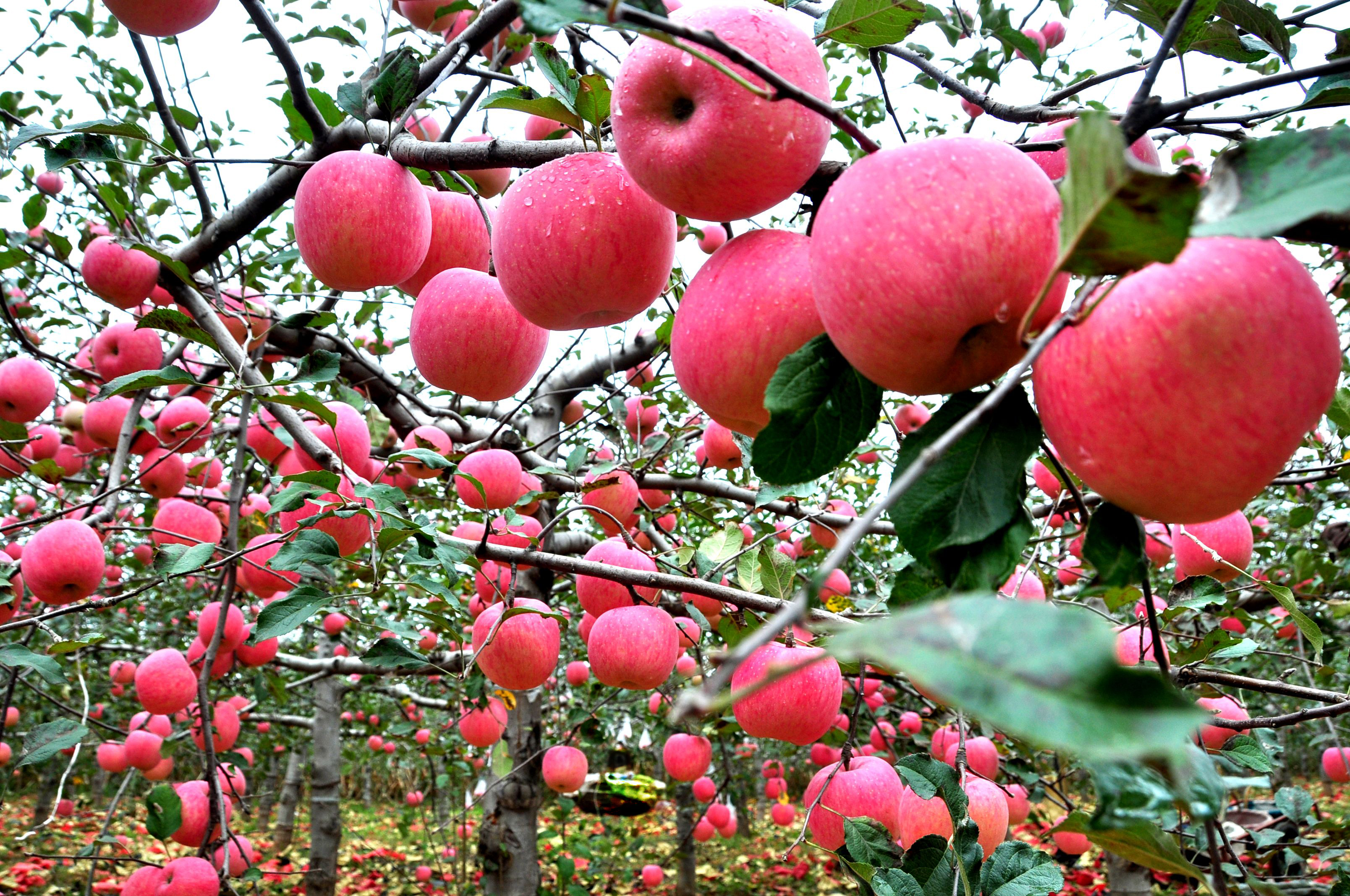 3.jpg 6672de6c75674fe4aeea869d5be87b31.jpeg