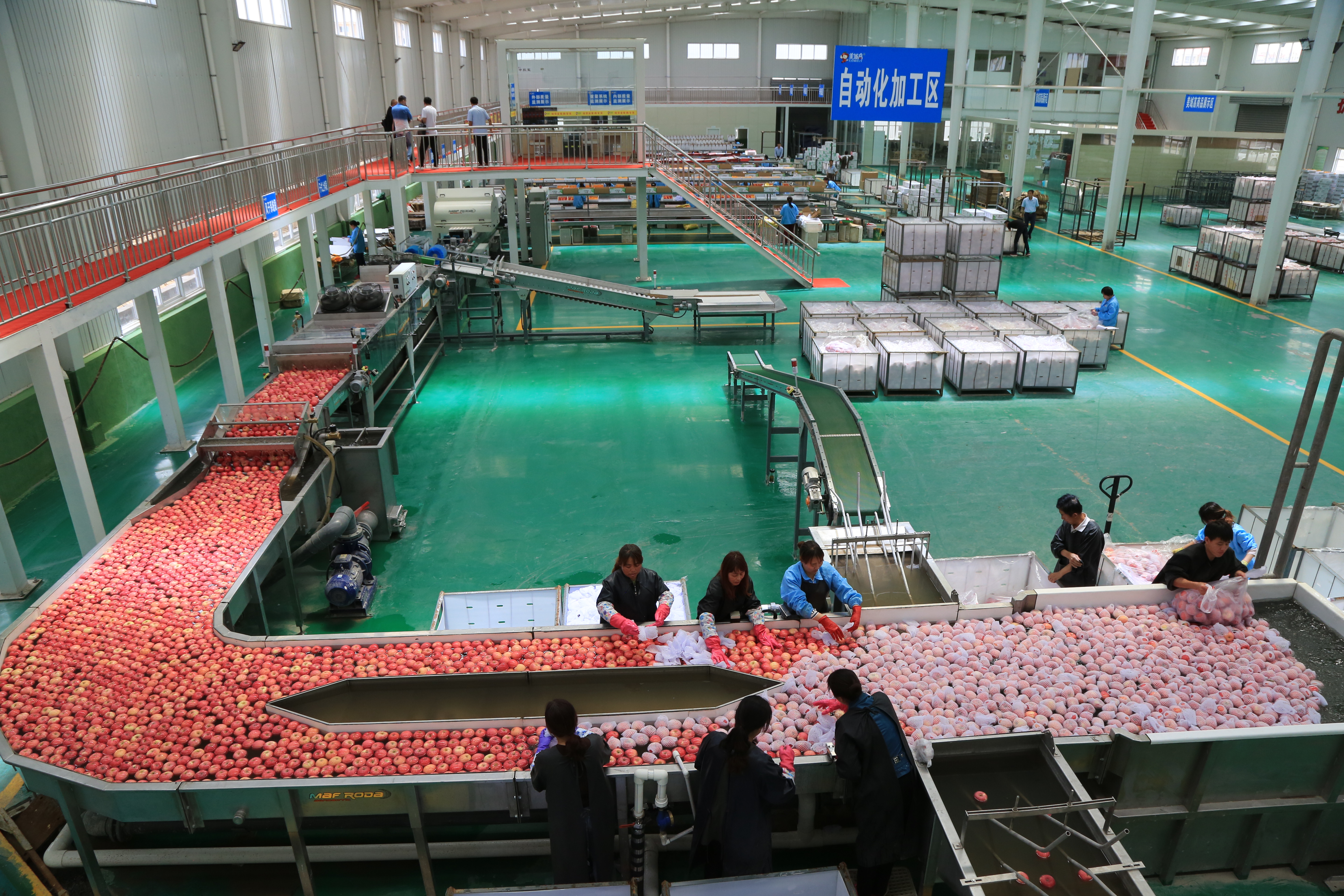 4.JPG 6bb5b08d821740f6b33b1c8df31ceb0c.jpeg