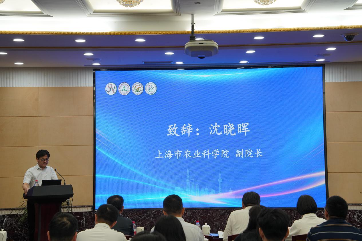 BB.jpg de19f0d4275a4afb9cd8bb931608b240.jpeg