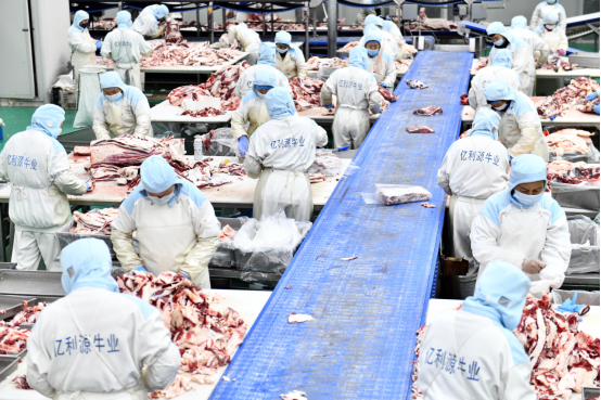 10400859749846168a3dcbec7b539ca0.png 10400859749846168a3dcbec7b539ca0.png