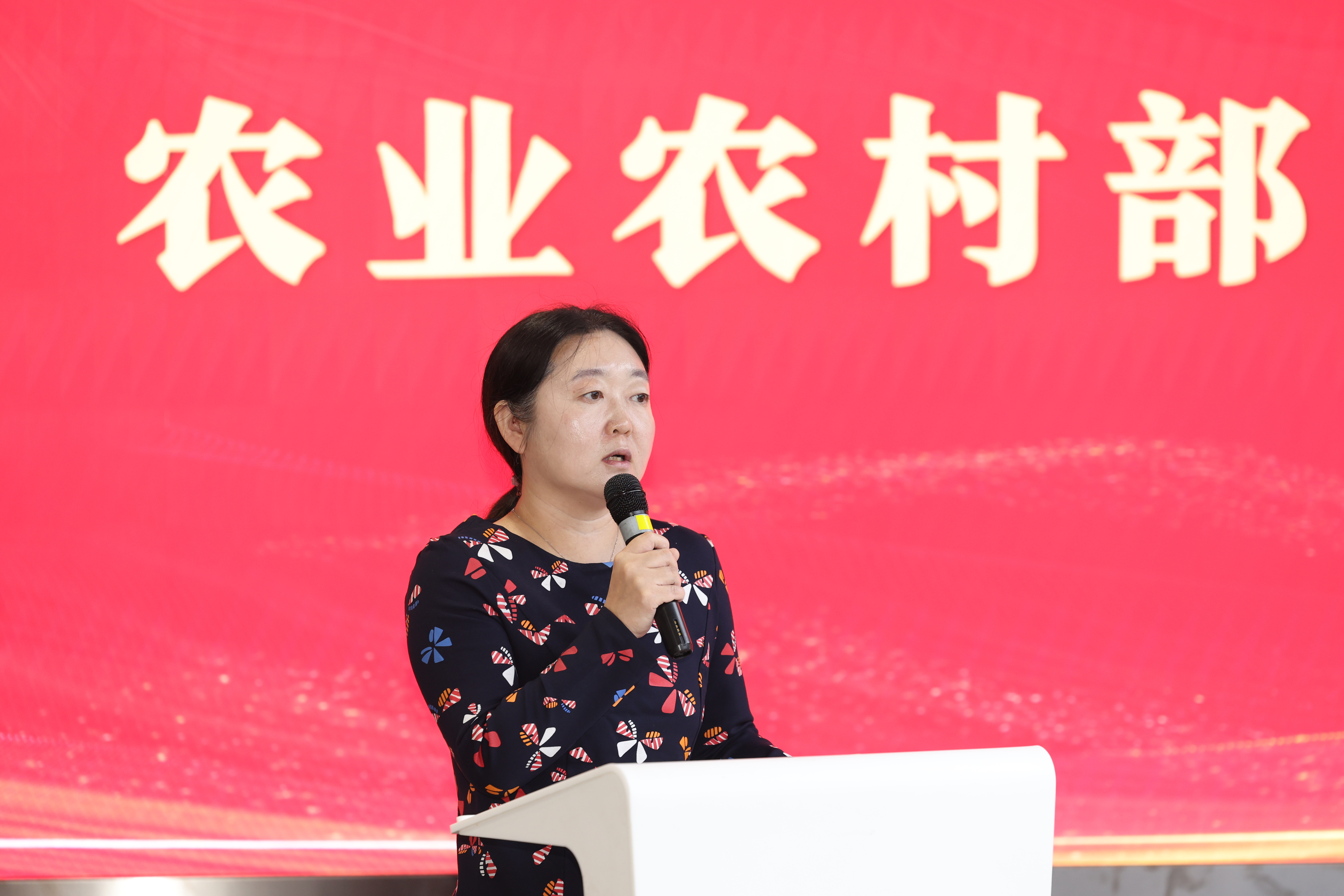 姜楠.jpg 66719a5595324199ba4b161f65c324a7.jpeg