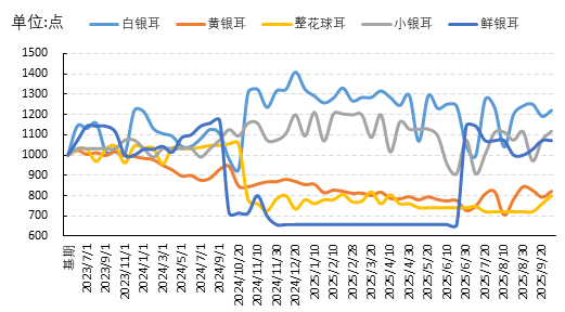 f88c7474a26a47bdb14b3940239e0941.png f88c7474a26a47bdb14b3940239e0941.png