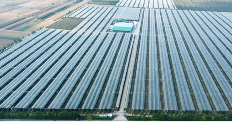 稿件2 产地照片2.png a0bde7a565844097938b14d67cf02081.png