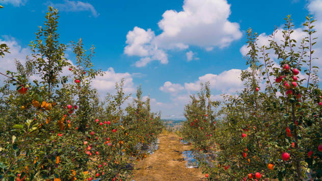 图片2(1).png a4fba91b763b47f0b9eb01e95a70c5c5.png