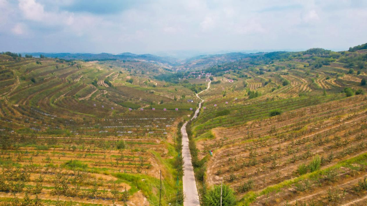 图片1(1).png c21f68da328b49dda41189ec9704d5ed.png