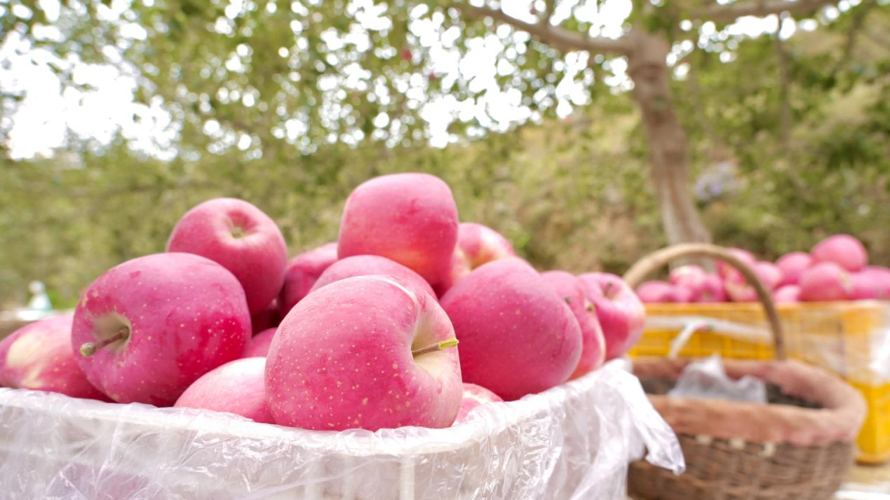 图片3(1).png e79a4b6e459f411c8f2c38a1d294881e.png