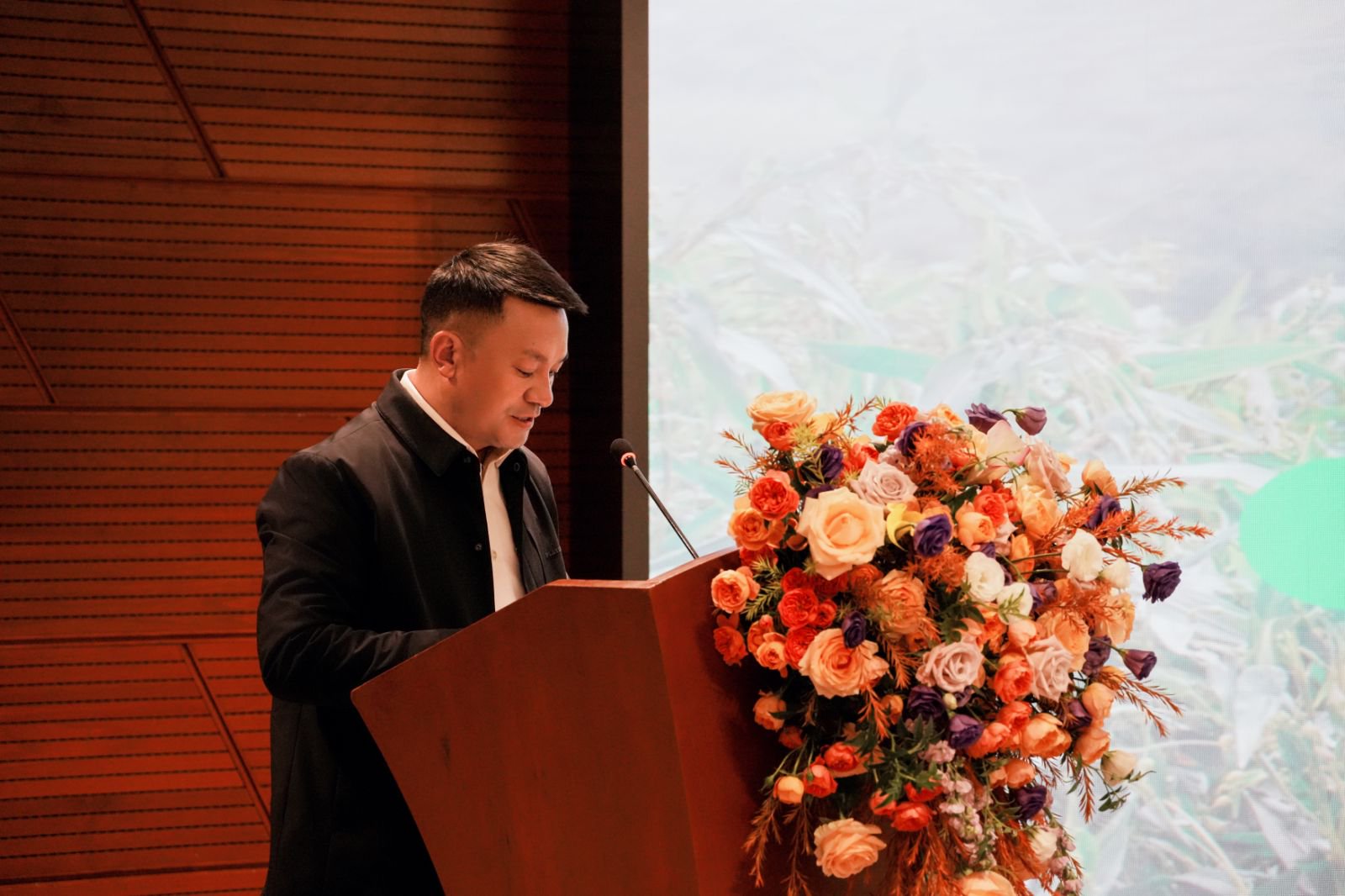 d3889244fbd74e98ab1b04851c047641.jpeg d3889244fbd74e98ab1b04851c047641.jpeg