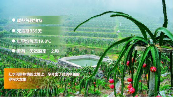 0844bbff8cbb4f4694f1765e2c82da7f.png