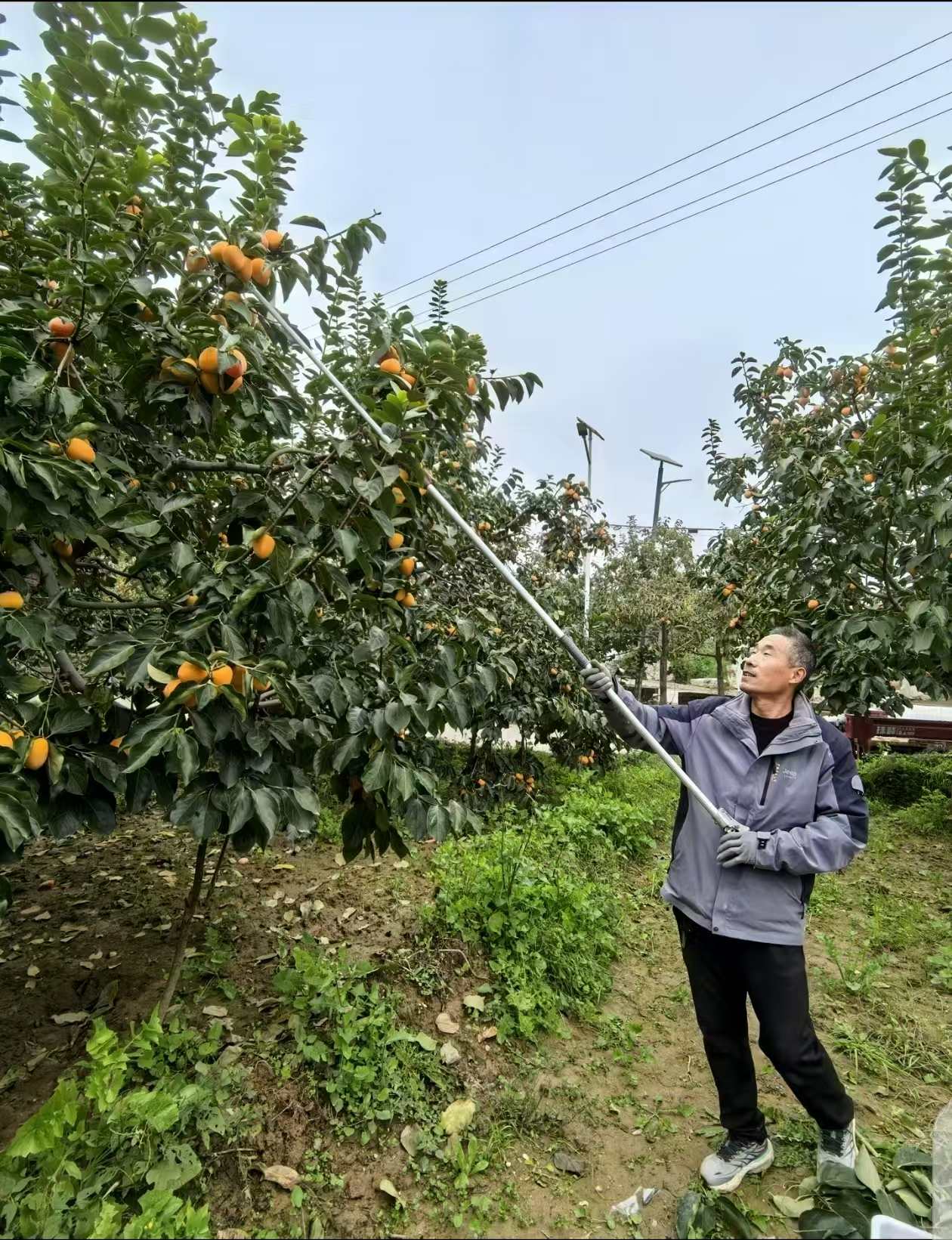 圖片2.png 49babfb7fca247f1af3f0d3b7deea7fe.png