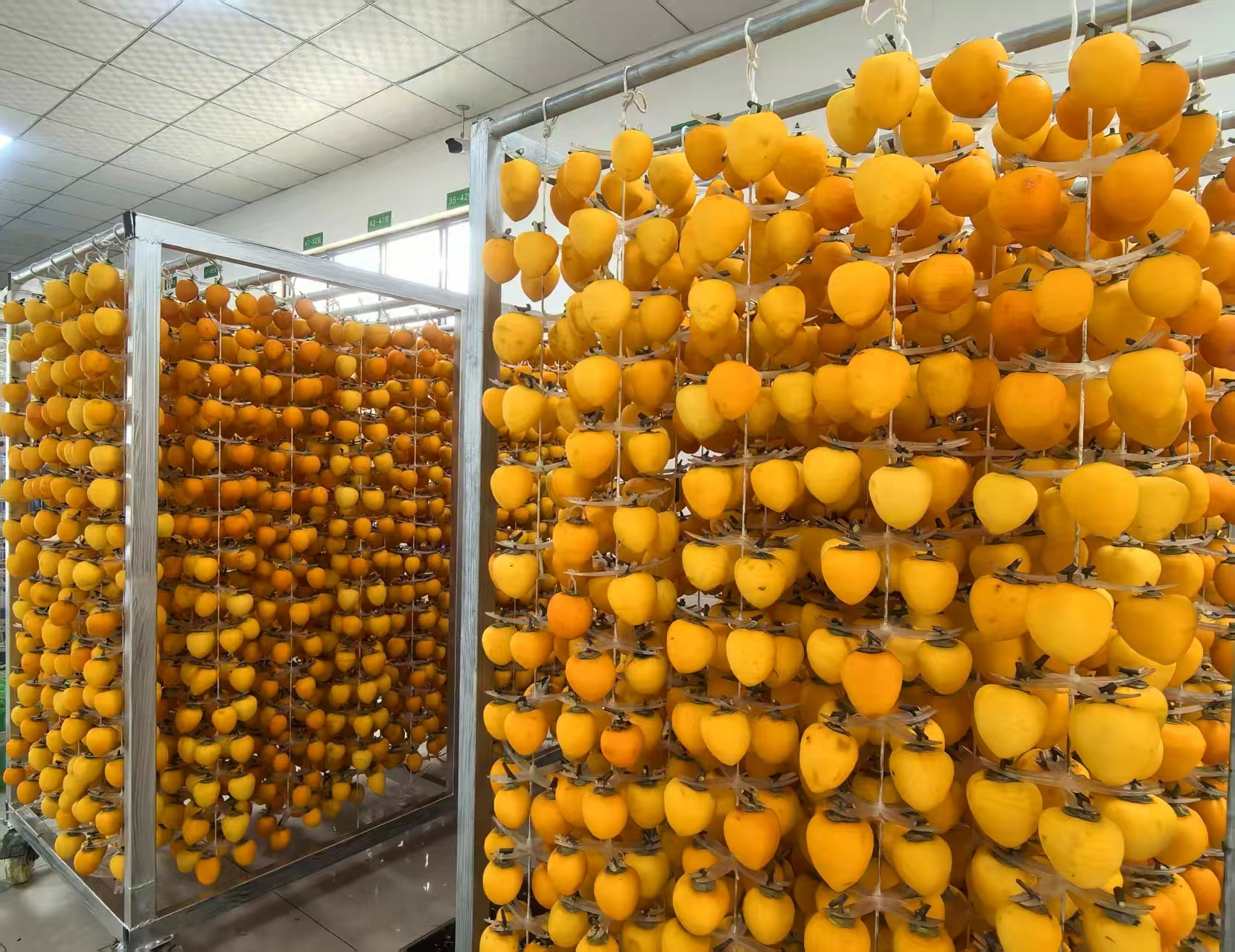 圖片4.png bb335217678546d686947d15cacf804a.png