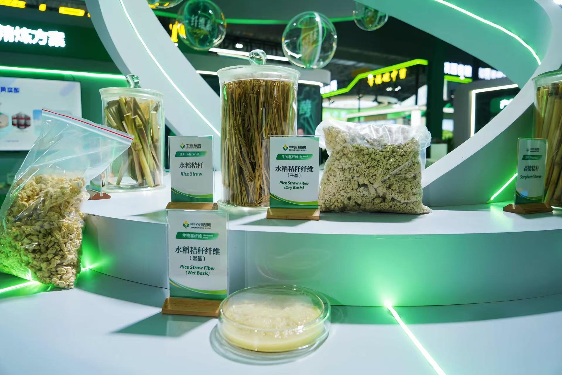 21951612.jpg 21951612.jpg