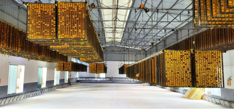 79d72006a7494cbf98693562e7d0508d.png 79d72006a7494cbf98693562e7d0508d.png