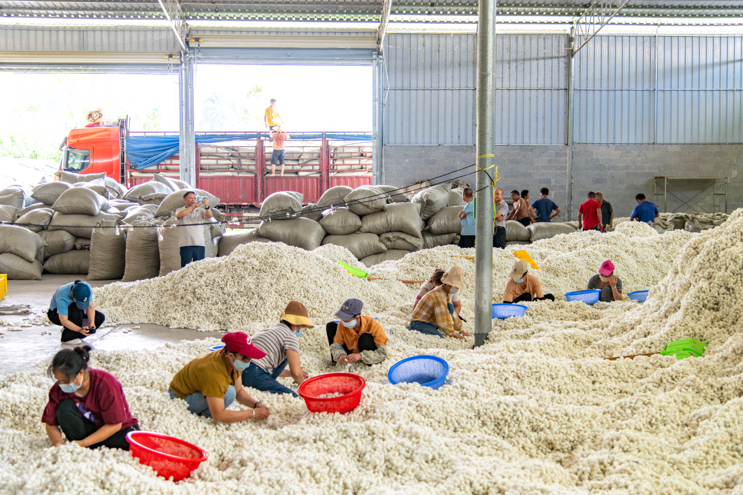 7b6fe7bf03fc487e9267f6ebf9f2351e.jpeg 7b6fe7bf03fc487e9267f6ebf9f2351e.jpeg